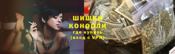 Альфа ПВП Ельня