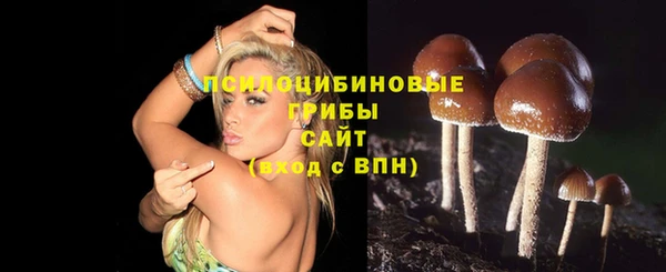 соль курить ск Елабуга