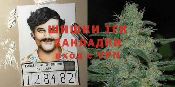 Альфа ПВП Ельня