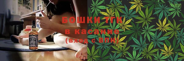 Альфа ПВП Ельня