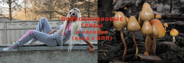 Альфа ПВП Ельня